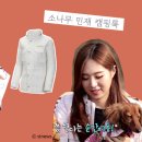 소나무캠핑 이미지