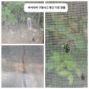 대우남원정비사업소 - 34471 | 전주완주방충망)서신동 대우대창아파트 블랙스텐 미세방충망 시공기