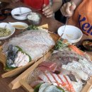 77돌곱창 | 2025 여름 dump