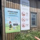 오랜만에 찾은 고창상하농원 : 반려동물 동반입장 가능한 곳 : 동물먹이주기체험 : 동물먹이주기 & 미니...