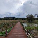 순포습지 이미지