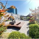 평촌교통 이미지