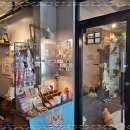 청주고양이입양지원센터 애니멀공화국 이미지