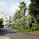 그린사이드펜션 이미지