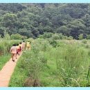 태권도 골든로드 이미지