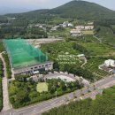 강정동-54 이미지