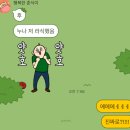 냠냠스마일 | 30살 기념 광명 찾기 : 스마일 라식 후기