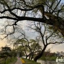 반곡보건진료소 이미지