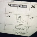 왜 기어나와 썬데이