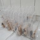 디아모스 이미지