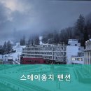 스테이옹치 이미지