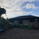 불란지스테이 이미지