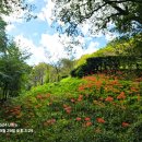 신구대학교 이미지