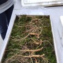 천종농장 이미지