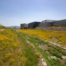 율하천자전거길 이미지