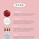 댕바이댕(DANG BY DANG) 이미지