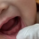 파아란식품 | 아기불소치약 닥스메디 닥트러스트 K치약 사용 후기