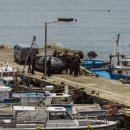 최신영화 대외비 이미지