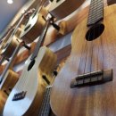 즐거운 우쿨렐레 이미지