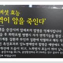 상황버섯 향촌 이미지