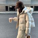 핏투니스 이미지