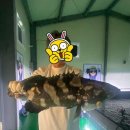 오즈실내바다 낚시터 이미지