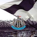 뉴캐슬PC 이미지