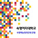 숙명여대 수시 2017학년도 숙명예능창의인재전형 이미지