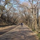 쉼에숲 Daum카페
