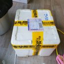 정옥수산 - 6160 | 가족모임:) 제주도 동문시장 정옥수산 딱새우 주문 후기