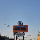 579 | 귀여운 강아지 마스코트 케빈이 반겨주는 수원베이글맛집 오렌지베이글 재방문 후기