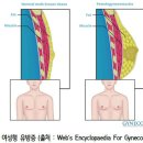 가성메디칼 이미지