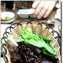 감포참가자미회 이미지