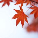 (주)해창기업 이미지