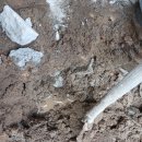 남항진동 이미지