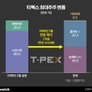 ㈜티펙스 비즈워치