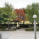 토성사우나 이미지