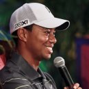미스타이거