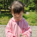 5월 2주 자연친화 숲놀이, 콩벌레 탐색, 자연친화 손끝놀이, 자연친화 텃밭활동 이미지
