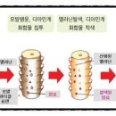 헤어브로시 이미지