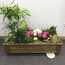 바이오영 이미지