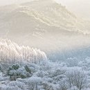 (주)아름다운인제관광
