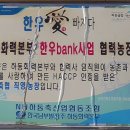 송철수농장 티스토리