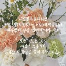 네모필라플라워샵