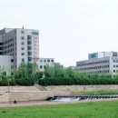 서현로180번길 이미지