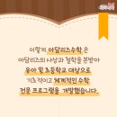 아담리즈