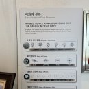 안양카 세차장 | 전라남도 축제 추천 광양매화축제 생생한 방문 후기 / 주차 셔틀버스 꿀팁