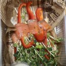 소풍앤 | [리뷰] 청주 홈파티 음식 소풍앤파티 메뉴 구성 가격 후기