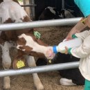 주호목장 이미지