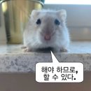 한국마트 | 광주 하남 ‘정진유통’ 후기, 한국판 돈키호테? 창고형 마트 솔직 리뷰